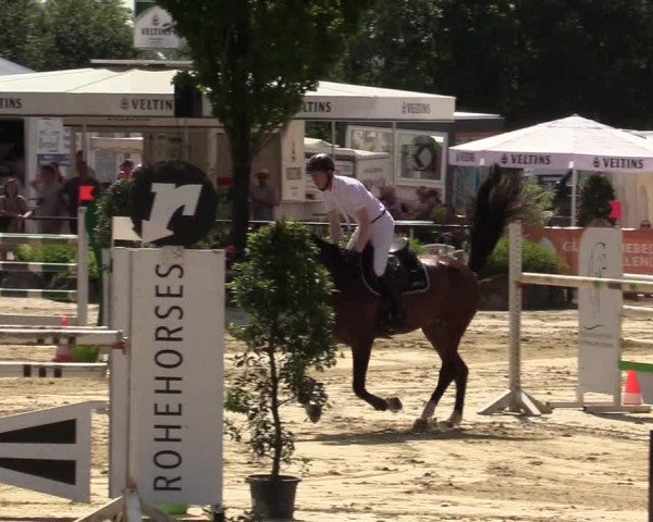 Reitturnier Hellefeld 2019