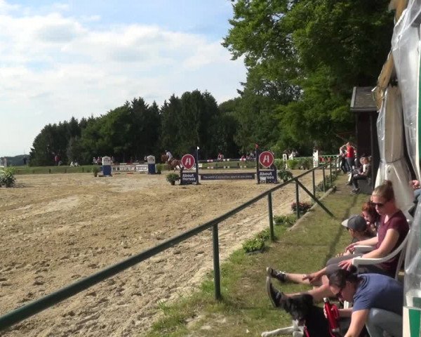 Reitturnier Burscheid-Paffenlöh 2019