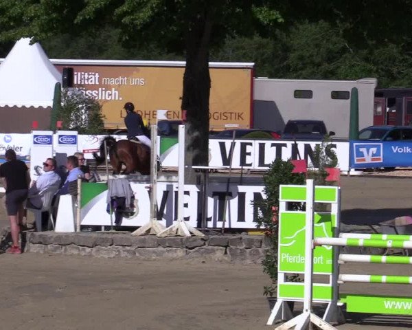 Reitturnier Hellefeld 2019