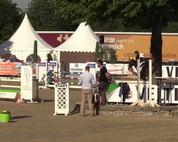 Reitturnier Hellefeld 2019