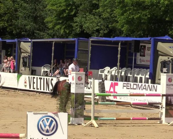 Reitturnier Hellefeld 2019