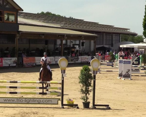 Reitturnier Hellefeld 2019