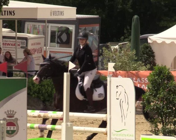 Reitturnier Hellefeld 2019