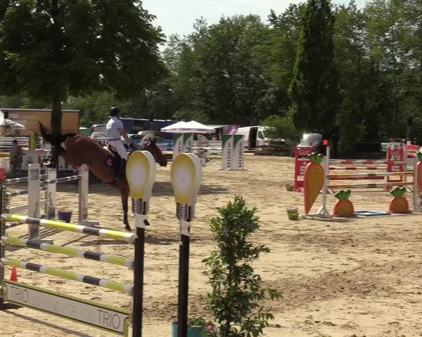 Reitturnier Hellefeld 2019