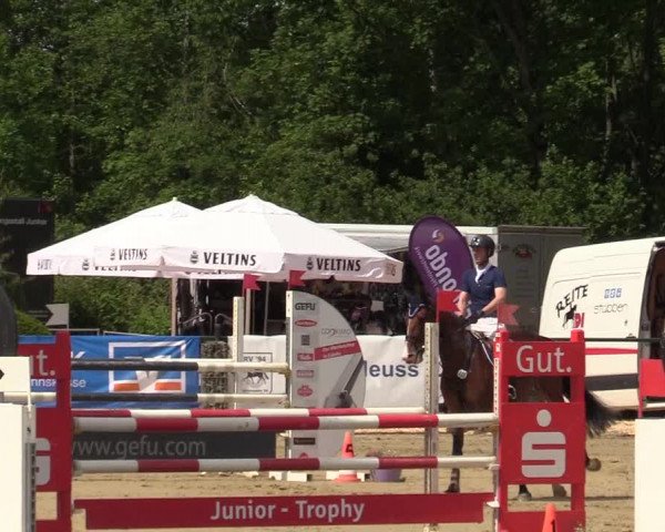 Reitturnier Hellefeld 2019