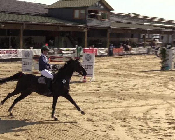 Reitturnier Hellefeld 2019