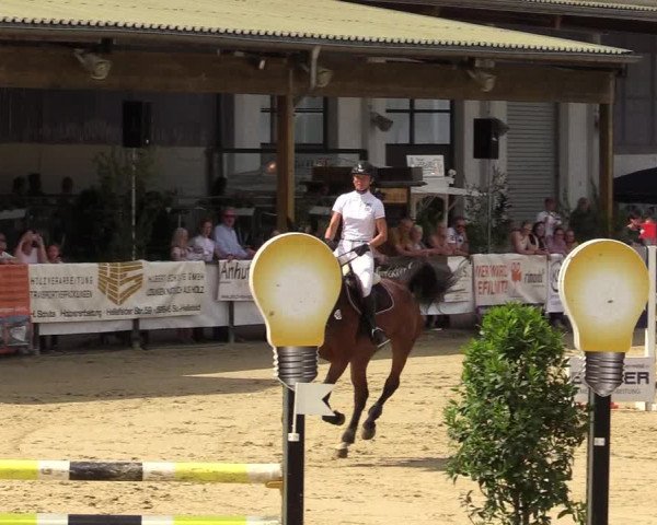 Reitturnier Hellefeld 2019