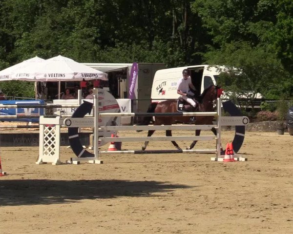 Reitturnier Hellefeld 2019