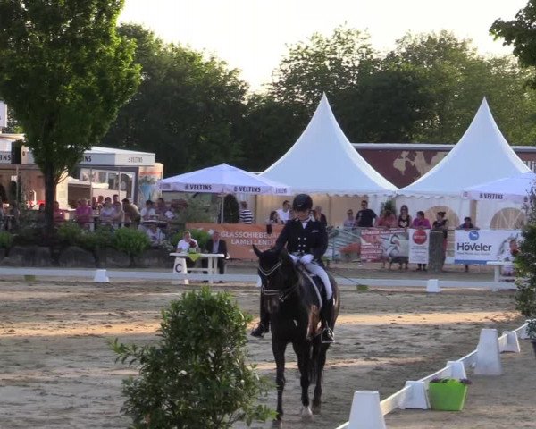 Reitturnier Hellefeld 2019