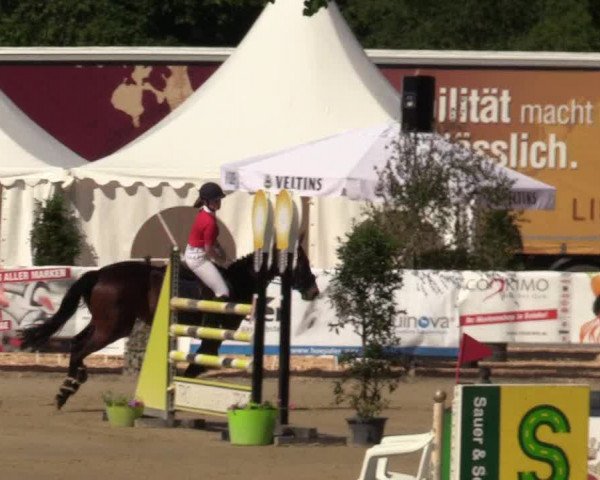 Reitturnier Hellefeld 2019