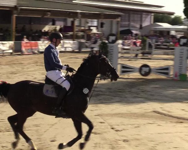 Reitturnier Hellefeld 2019