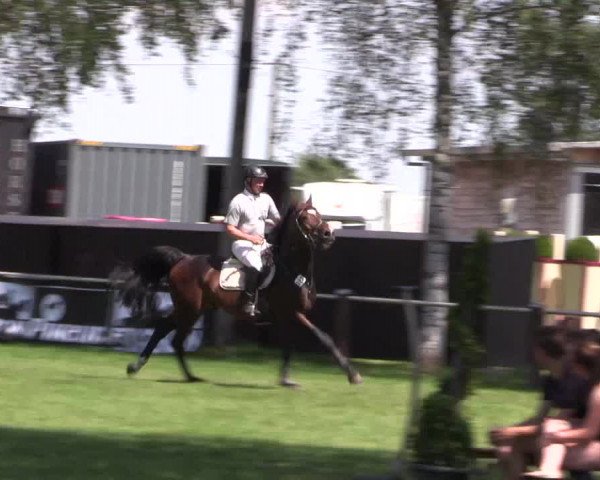 Reitturnier Hille 2019