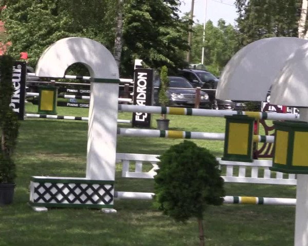 Reitturnier Hille 2019