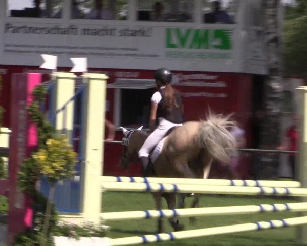 Reitturnier Hille 2019