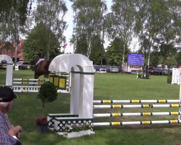 Reitturnier Hille 2019