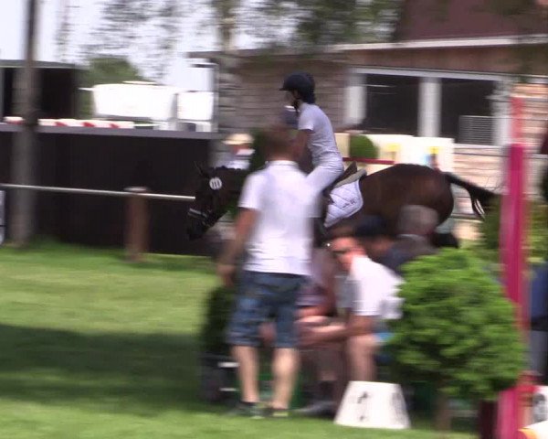 Reitturnier Hille 2019