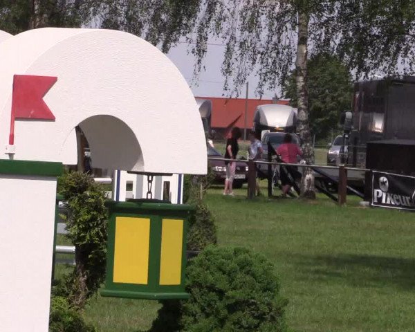 Reitturnier Hille 2019