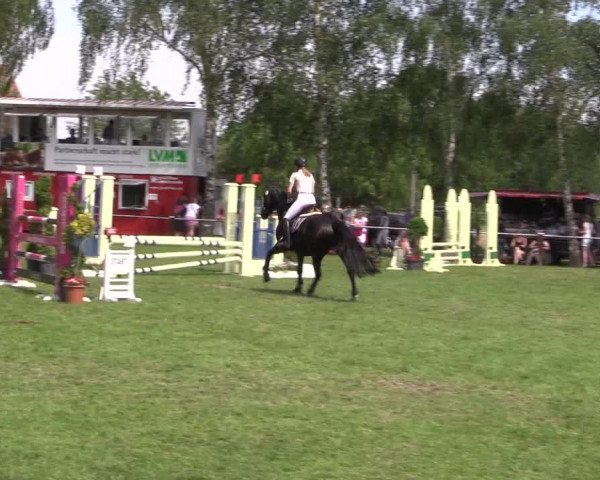 Reitturnier Hille 2019