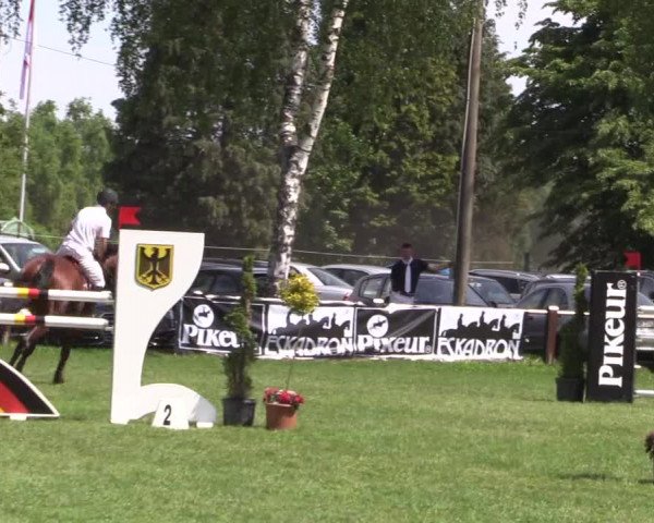 Reitturnier Hille 2019