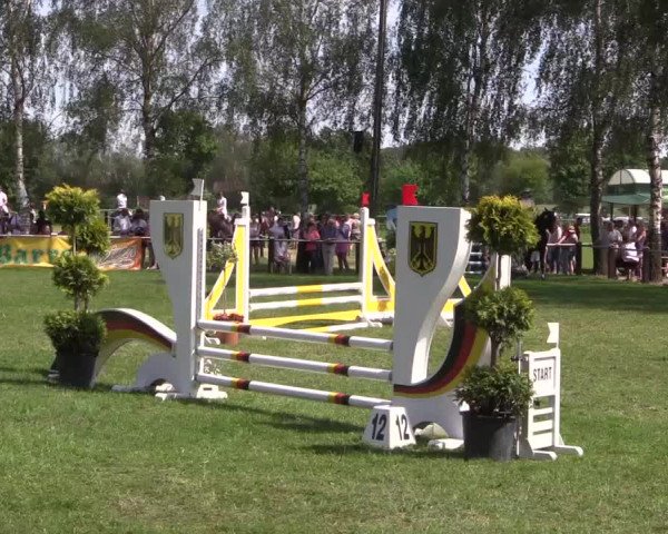 Reitturnier Hille 2019