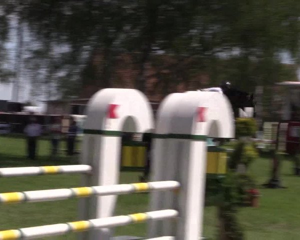 Reitturnier Hille 2019