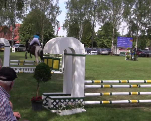 Reitturnier Hille 2019