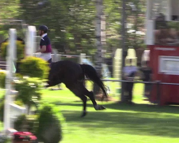 Reitturnier Hille 2019