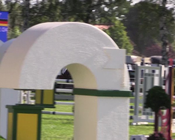 Reitturnier Hille 2019