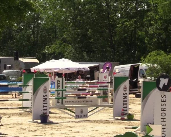 Reitturnier Hellefeld 2019