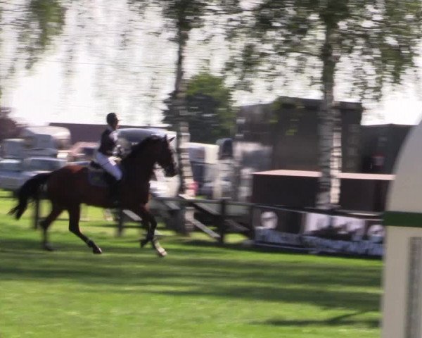 Reitturnier Hille 2019