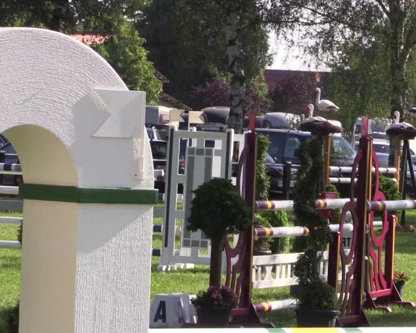 Reitturnier Hille 2019