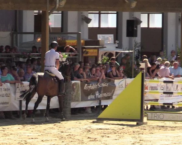 Reitturnier Hellefeld 2019