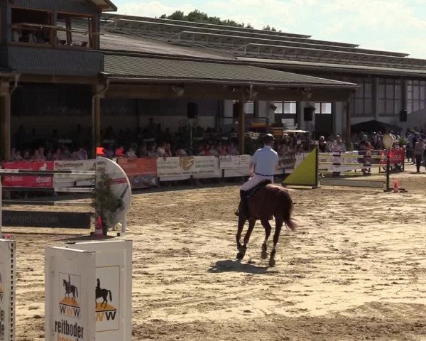 Reitturnier Hellefeld 2019