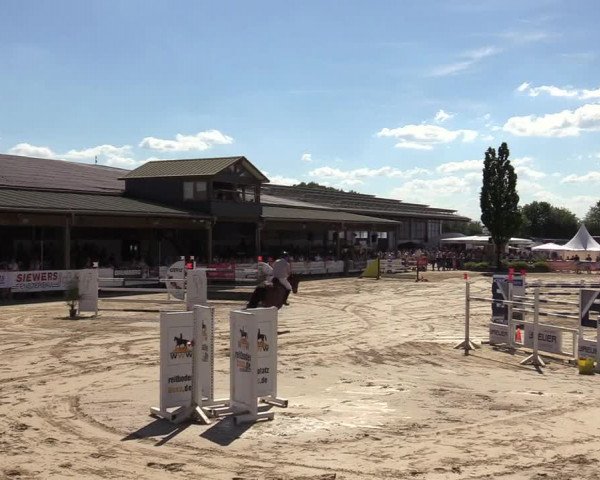 Reitturnier Hellefeld 2019