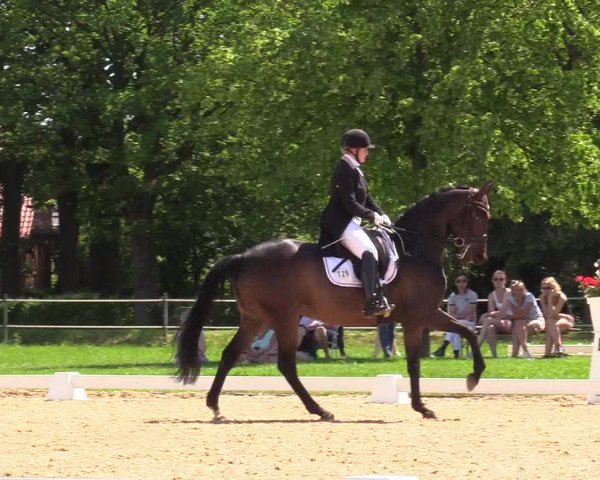 Reitturnier Hille 2019