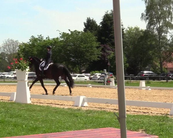 Reitturnier Hille 2019