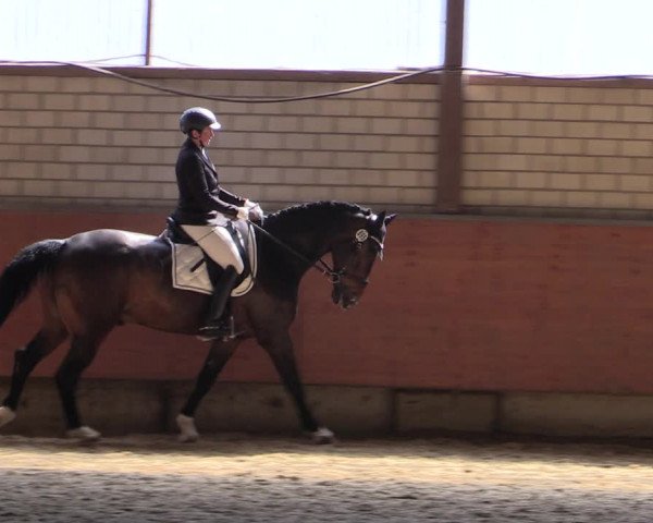 Reitturnier Hellefeld 2019