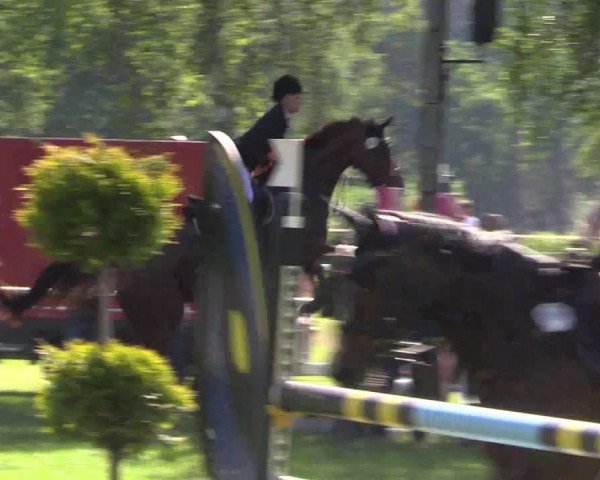 Reitturnier Hille 2019