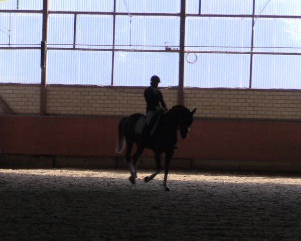 Reitturnier Hellefeld 2019