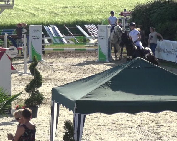 Reitturnier Kirchhellen/Stall Dieckmann 2019