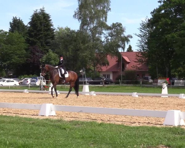 Reitturnier Hille 2019