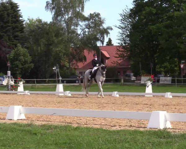 Reitturnier Hille 2019