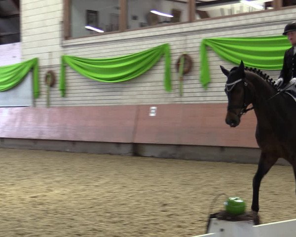 Reitturnier Hellefeld 2019