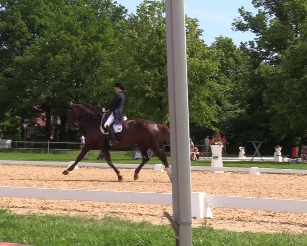 Reitturnier Hille 2019