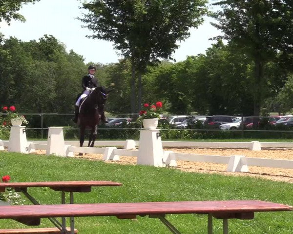 Reitturnier Hille 2019