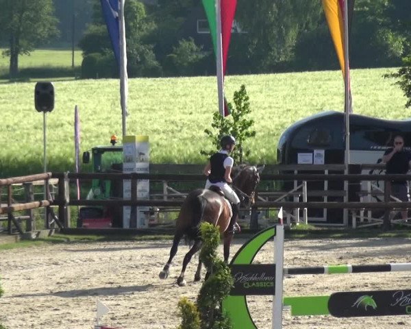 Reitturnier Kirchhellen/Stall Dieckmann 2019