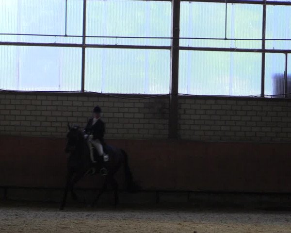 Reitturnier Hellefeld 2019