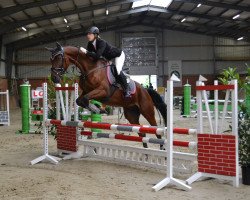 jumper Devil Jumper (Hanoverian, 2006, from De Janeiro)