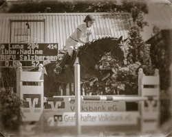 broodmare La Luna 284 (Oldenburg, 1999, from Landjonker (Fruhling))