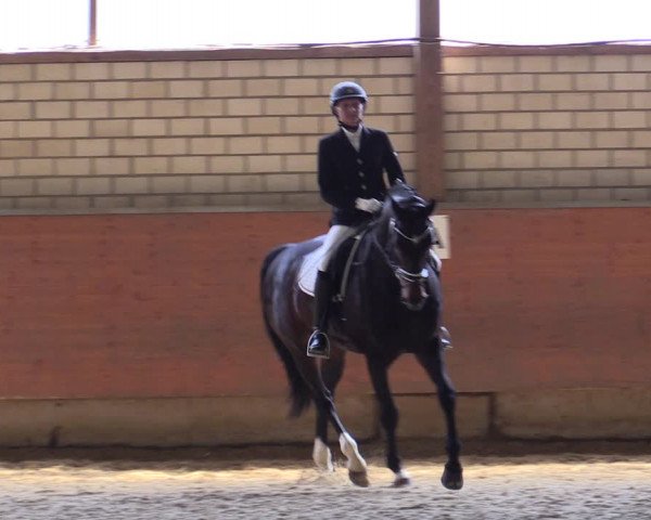 Reitturnier Hellefeld 2019